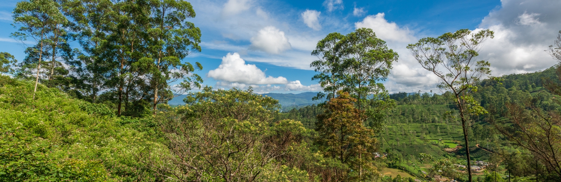 Places to Visit near Hatton: Exciting Outdoor Adventures with Friends